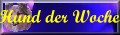 Hund der Woche, Update: 20.02.2010